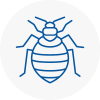 Bed Bug Extermination In Birkenhead